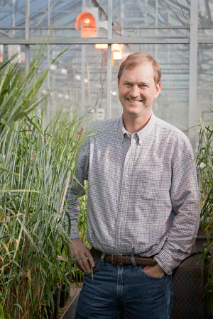 Barley genome? Done 