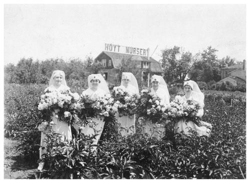 Selling peonies to raise money for the Red Cross in World War I. (Minnesota Historical Society)