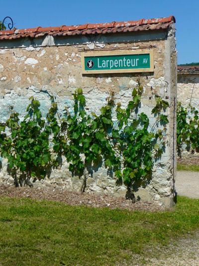 A Larpenteur Avenue street sign adorns a vineyard wall in Thomery, France. Photo courtesy of Larpenteur family