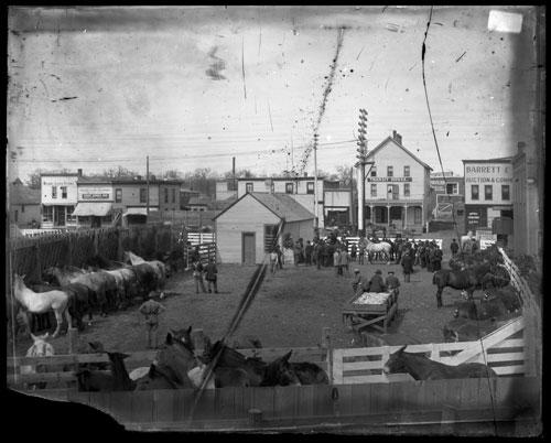 The Barrett & Zimmerman auction pens circa 1900.
Photo courtesy of the Minnesota Historical Society