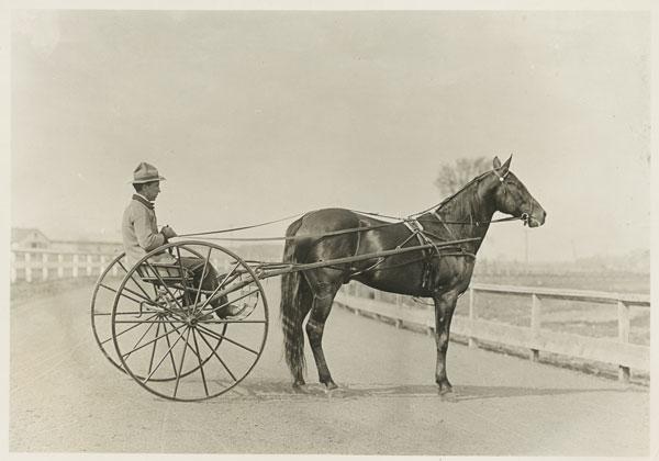 King of all the harness racers was Minnesota’s own Dan Patch. In 1905, he set a record for the mile—1 minute, 55 ¼ seconds, that stood for 30 years.