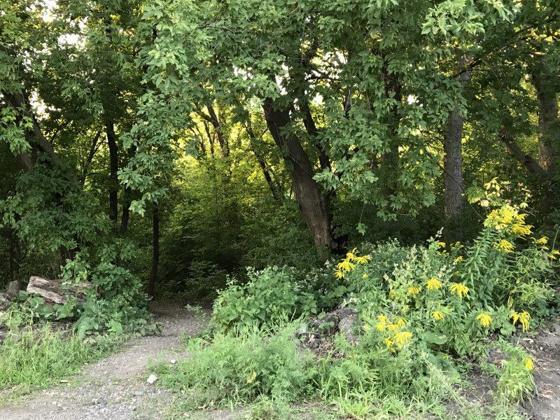 Master Properties seeking TIF financing for redevelopment  project at Luther Seminary site