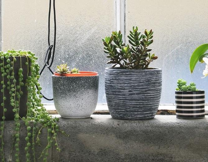Home & gardening events