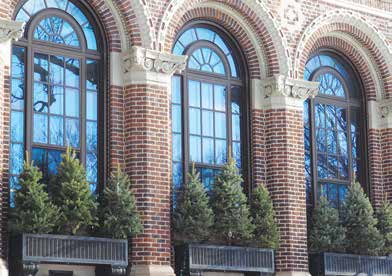 Holiday trees and lights set a festive mood at the St. Anthony Park
Library despite COVID-19 problems this year.