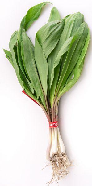 Eat your greens and shoots, but find them first