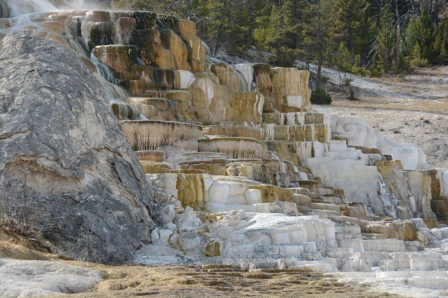 Dazzling hot spring terraces are
the key attraction at Mammoth Hot
Springs. Photo by Jeremy Wight.