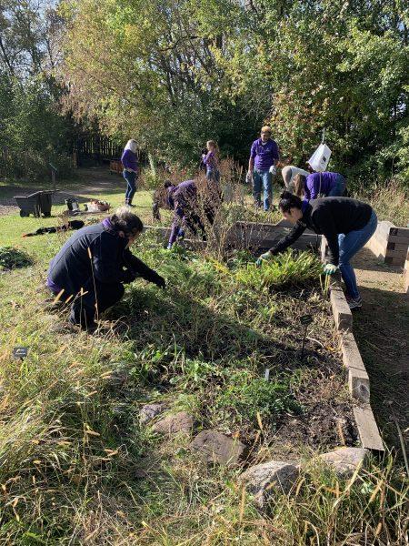 Volunteers work to winterize gardens
at Gibbs Farm in October 2019.
Photo courtesy of Sammy Nelson.
