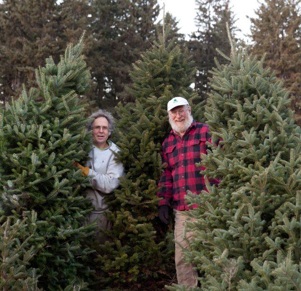 David and Mark Hansen, Hansen Tree Farm,  with trees cut for Washington D.C. Federal offices.