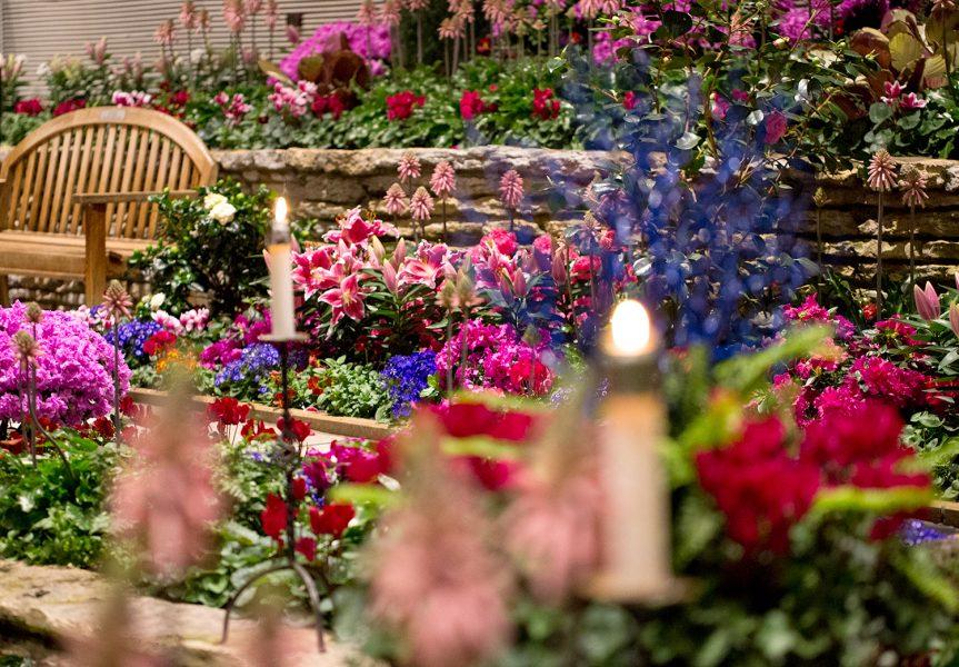 Como Friends Bouquets fundraiser set for Feb. 23