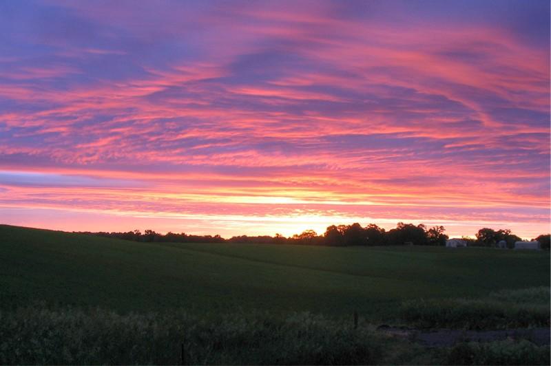 Breeding bird survey sunrise. Photo by Drew Christensen.