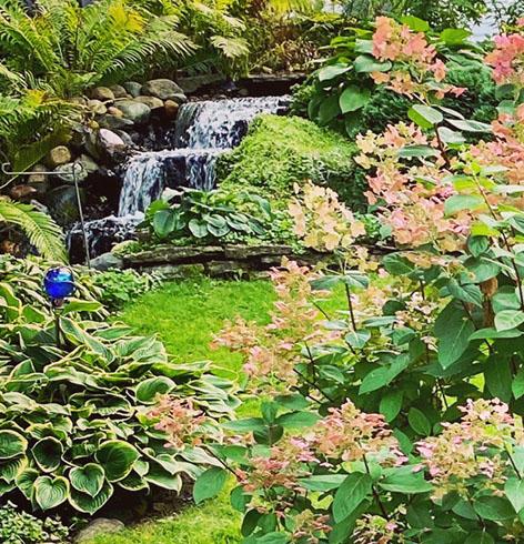 Mystery marks SAP Garden Tour until June 24