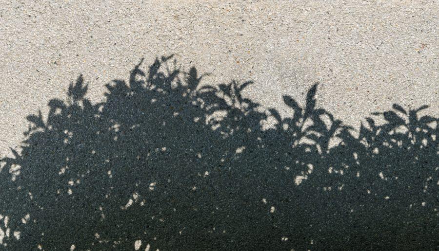 tree shadow on gravel texture as background