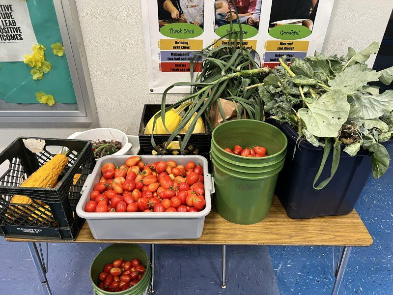 School news around town