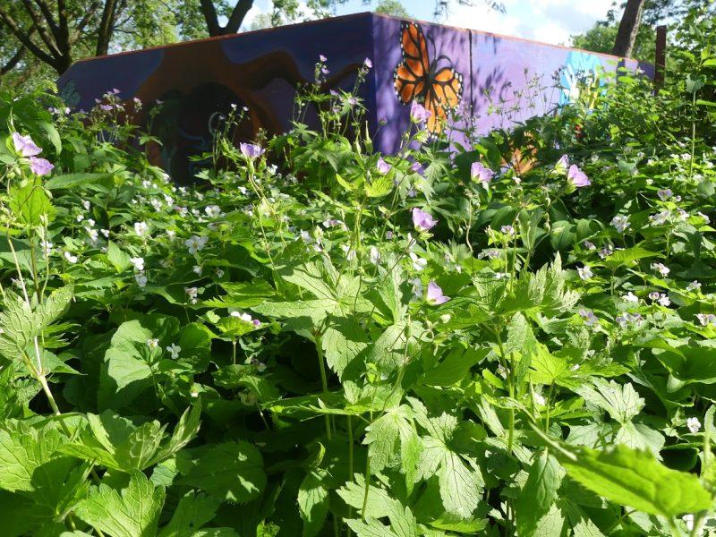 Want to change the world? Start with a park
