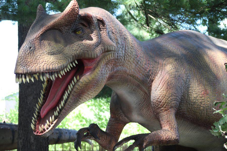 Dino-mite adventure: Como Town's Dinosaur Expedition