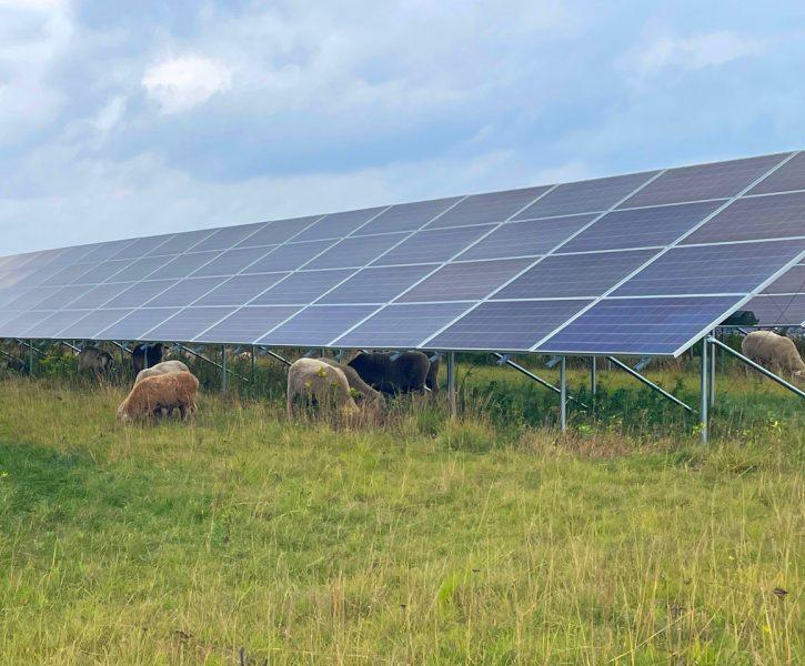 Solar power — without a roof