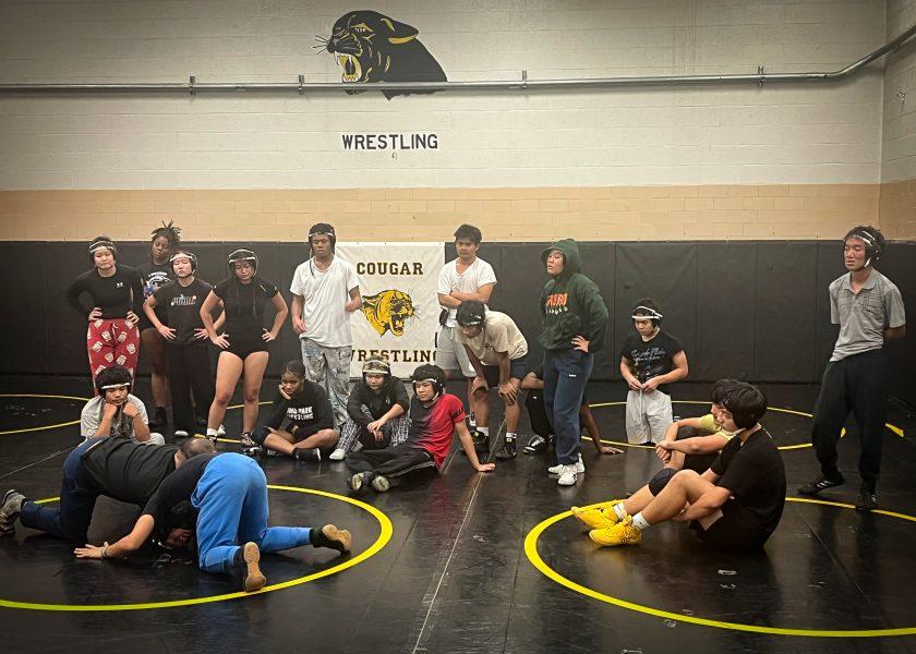 Cougar wrestling enters a new era