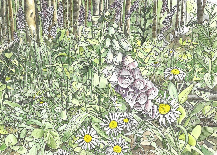 SAP Arts Festival featured artist: Allie Rykken