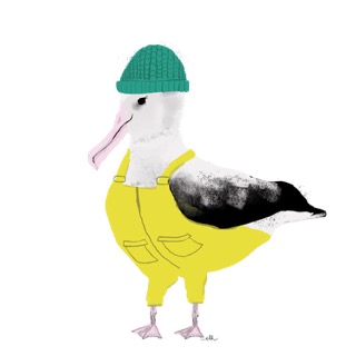 EmilyHarris_Albatross