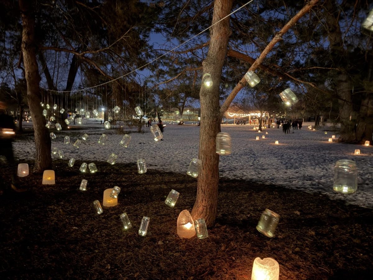Book titles accompanied luminaries at the Luminary Festival at Langford Park in mid-February. 