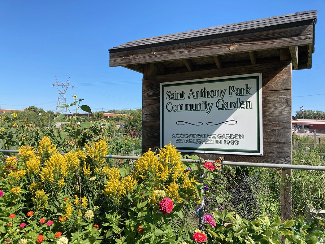 The St. Anthony Park Community Garden has been located on Robbins Street west of Raymond Avenue for more than 40 years.